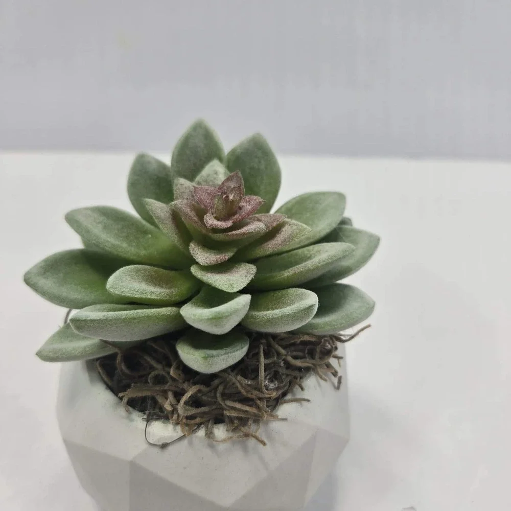 N/A handmade faux